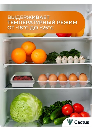 Cactus Bento Kutusu, Kek Kutusu 10 Cm, 10 Adet 254505675 100 adet