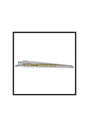 Einhell TE-AP 750 E Kılıç Testere - 4326170