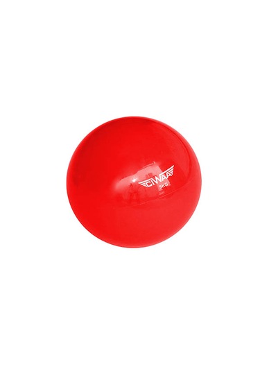 Cwa-941 Pilates Ağırlık Topu Pilates Toning Ball Denge Ve Ağırlık