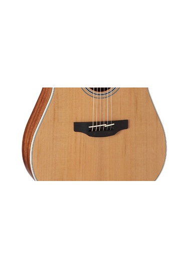 Gd20ce shop ns takamine