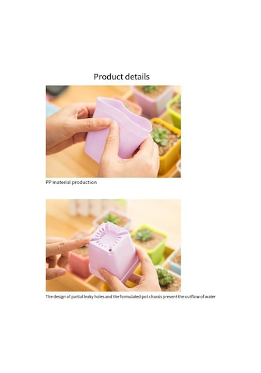 Mini Renkli Saksılar, Plastik Saksılar, Etli Bitki Saksıları Rastgele Renkler