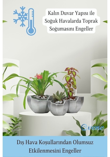 Saksı Çiçek Kaktüs Saksısı Lüx 15 Cm Önü Açık Desenli 3'lü Set Çiçeklik - Gümüş Eskitme