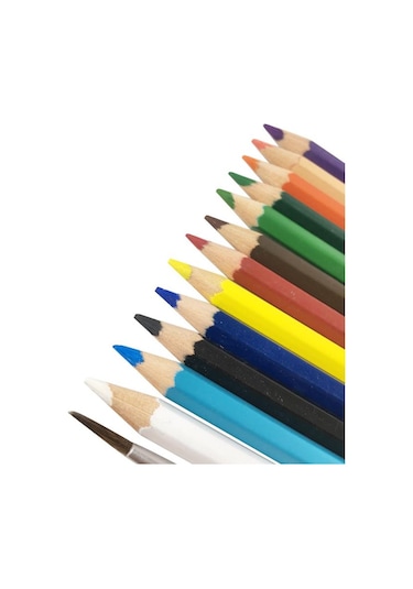 Bigpoint 12'li Sulu Boya Seti fırça