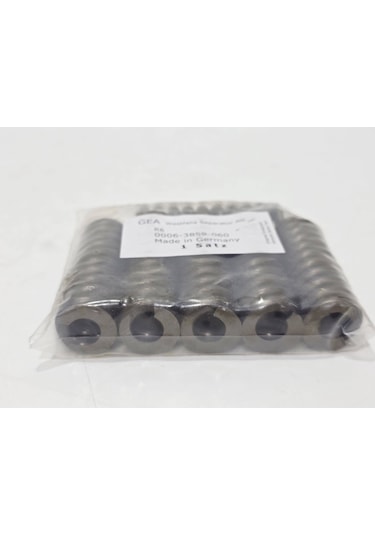 Gea 0006-3859-060 Seperatör Boyun Yatak Yayı 6 Adet