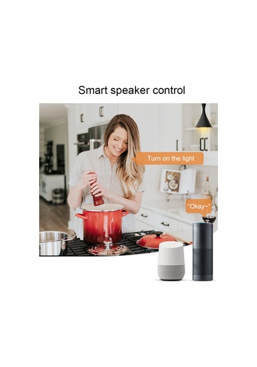 Skycity Akıllı Ev Wifi+bluetooth Kontrolcü, Uygulama Ve Ses İle Kumanda Edilebilir, 2.4g Kablosuz, İki Kanallı Beyaz