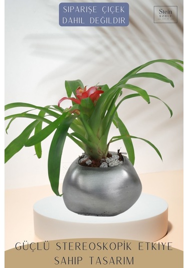 Çiçek Saksısı Dekoratif Kaktüs Saksı 1 Adet Spiral Oval Model - Gümüş Eskitme