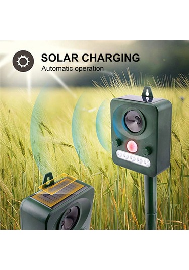 H41489 Güneş Enerjili Hayvanlar Kovucu Ultrasonik Dalga Köpek Yeşil