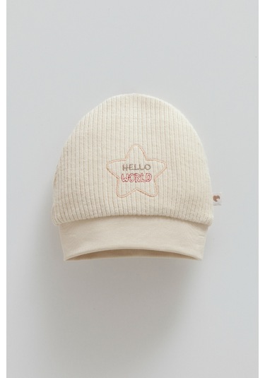 Color World Nakışlı Erkek Triko Bere Kahverengi