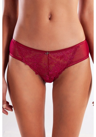Golshan Gaspara Mini Slip, Kadın Güpürlü Tüllü Şarap Renkli Normal Kesim Külot Çok Renkli