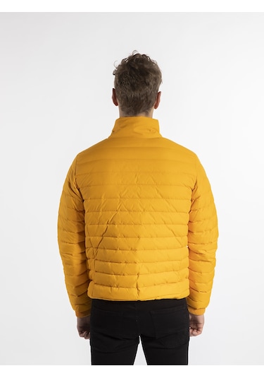 Iceberg  Erkek Mont  Ic574Mt Sarı