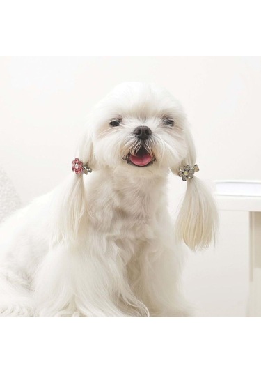 M-pets Glam Çiçekli Kedi Ve Köpekler İçin Aksesuar Toka Pembe Beyaz Pembe