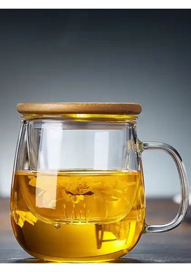 Qerhome Borosilikat Cam Süzgeçli Bambu Kapaklı Kupa 350 Ml Şeffaf