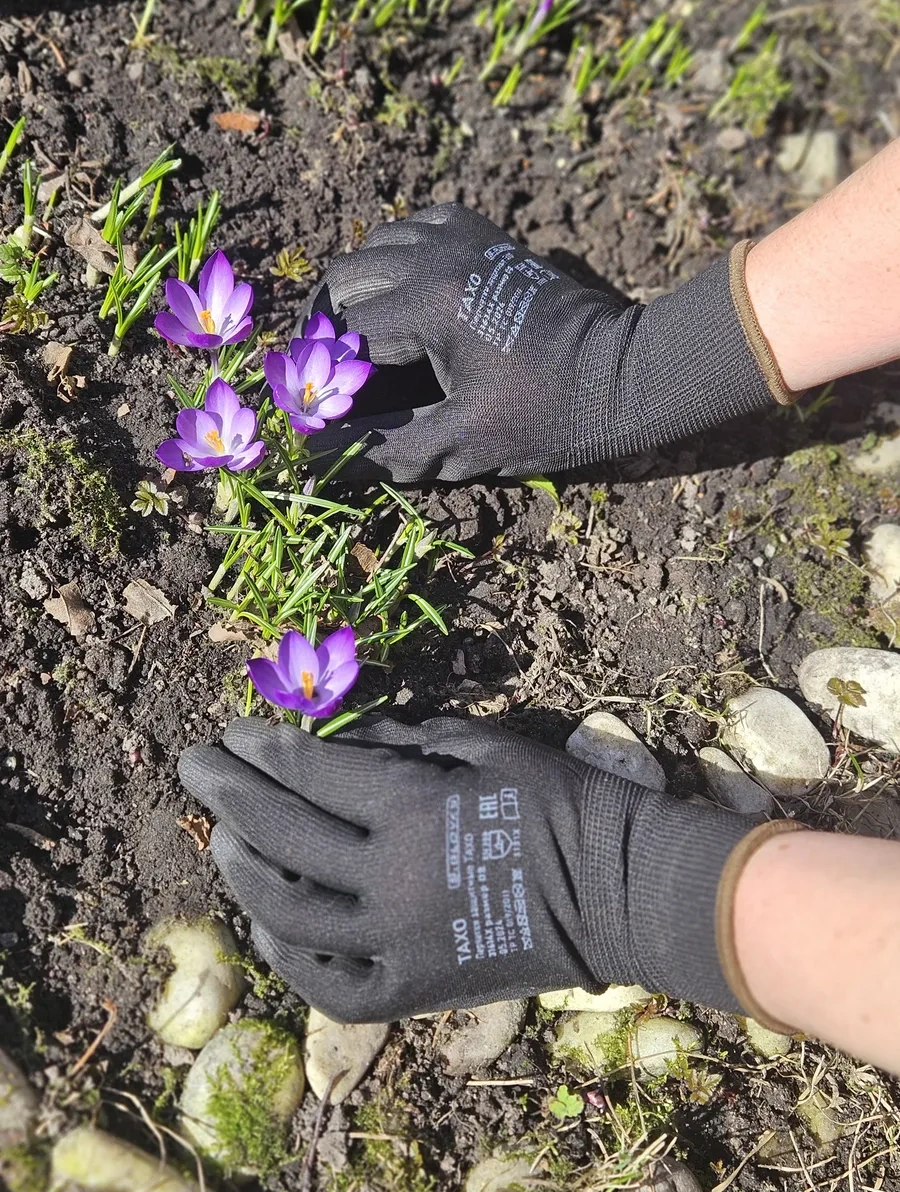 S. Gloves Dökülmeli İş Eldivenleri 225081412