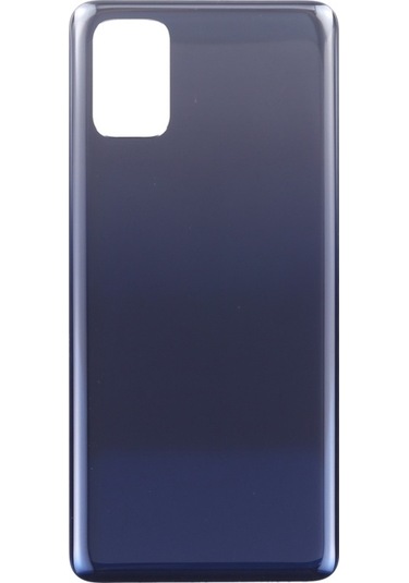 Cbtx Samsung Galaxy Uyumlu M31s 5g Sm-m317f Pil Arka Kapağı Mavi