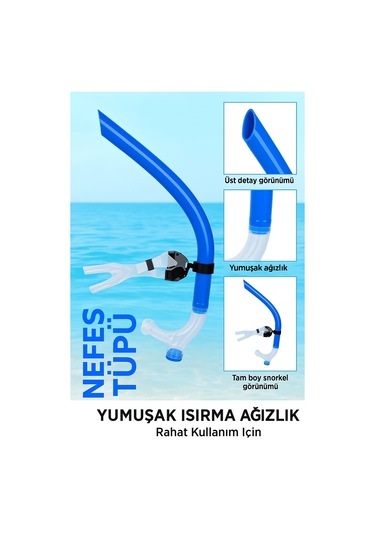 Dailytech Yetişkin Yüzme Antrenman Şnorkeli Siyah Çok Renkli