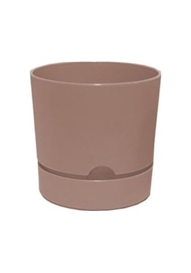 Polıwork Saksı Begonya 12 Cm Krem