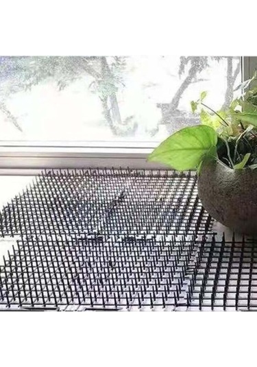 Besthome1 Suntek 12 Adet Kedi Scat Kovucu, Sivri-uçlu-mat, 5.9x7.8cm Kedi Oyuncak Seti