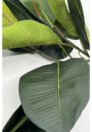 2 Dal Yapay Ficus Elasticos Kauçuk Ağacı Çiçeği 60 Cm Yeşil