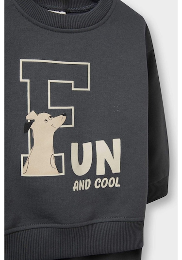 Defacto Erkek Bebek 2li Takım Baskılı Sweatshirt Eşofman Altı E8994a525augr164 Gri