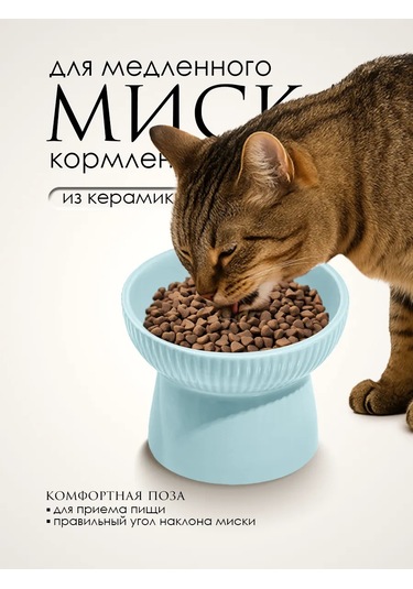 Vektorı Kedi Kabı Seramik 391812075