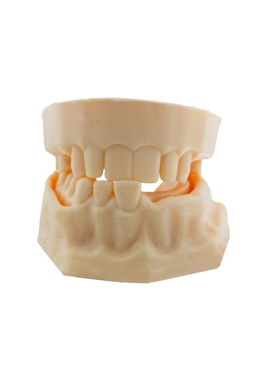 Barışhan Medikal Silikon Çene Diş Dikiş Modeli Ortodontik Alt Üst Çene Periodontal Sütür Eğitim Modeli-2