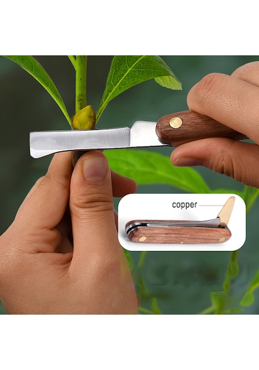 Symbee Ahşap Saplı, Paslanmaz Çelik İkili Açılabilir Cibik Bıçak - Bahçe Ve Ağaç Aşısı Gereci