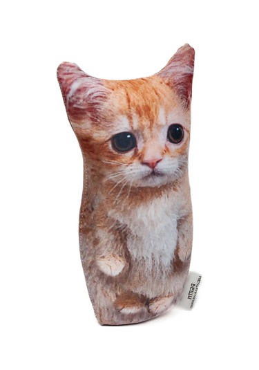 Neskucnye Vesi Kameleon Desenli Bardak + Stess Giderici Yastık Seti Ayfon 322119380