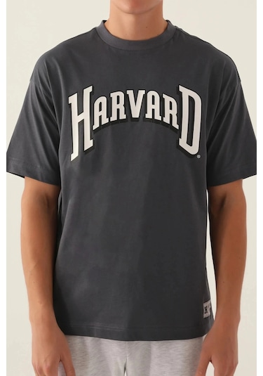 Harvard Erkek Tek Üst - Antrasit Antrasit