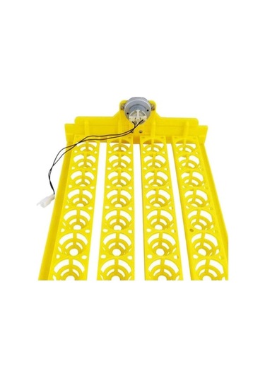 Pazly Yumurta Yumurta Turner Tavuk Suntek Otomatik Makinesi Kuluçka Fr