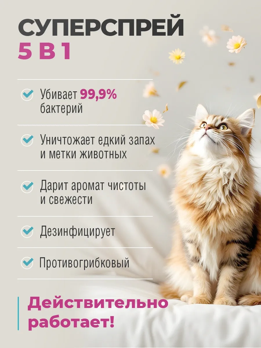 Spets Hayvan Kokusu Nötralize Edici, Kedi İdrarı Kokusu Onaylıdır, 100ml 269936868