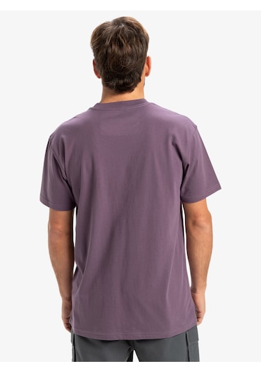 Quıksılver Vıntage Vıolet Ev Mını Logo Ss Erkek T-shırt Eqyzt08042-pqc0 Mor