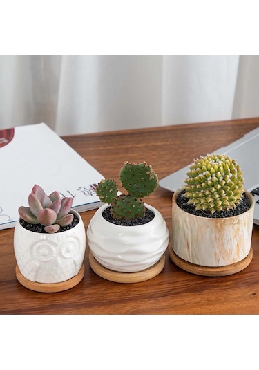 Round-9cm-pot Stander Ev Dekorasyon Succulents Bonsai Tutucu Yuvarlak Kare Altıgen Dikdörtgen Saksı Tabanı Bambu Ahşap Tepsi