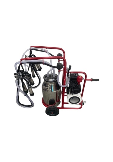 Bartech Yaprak Çiftli İnek Süt Sağım Makinası C40 Krom Güğüm Kuru