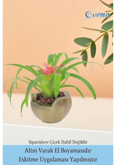 Saksı Çiçek Kaktüs Saksısı Lüx 15 Cm Önü Açık Desenli 3'lü Set Çiçeklik - Altın Eskitme