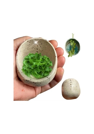 Pazly-seramik Soyucu Kase - Farklı Delik Boyutları, Yuvarlak Tasarım, Pratik Ve Dayanıklı Beyaz