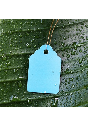 Pazly 16 Parça Bahçe Dikim Seti Bonsai Sukulent Nakil Mini Peri Bahçe El Aletleri Ev Ofis İçin