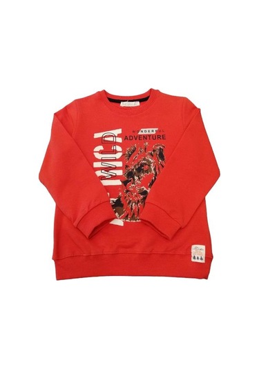 Nk Kids Erkek Çocuk Pamuklu Aslan Baskılı Sweatshirt-11226-mercan Mercan