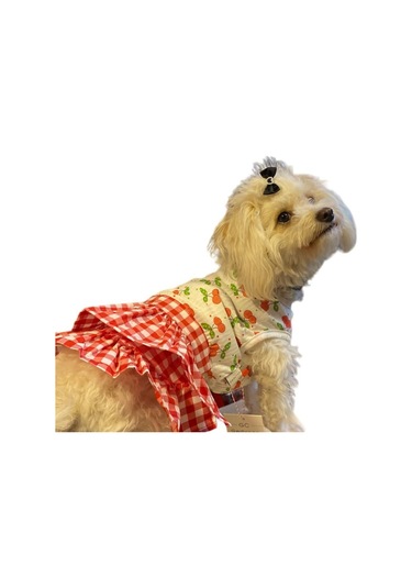 Gedyco Kirazlı Kareli Küçük Irk Köpek Elbisesi