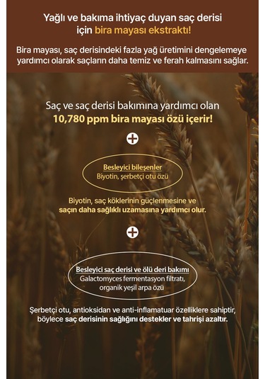 Saç Dökülmelerine Karşı Şampuan Kundal Hair Loss Relief Shampoo Real Beer Yeast 500 Ml Herb Mint