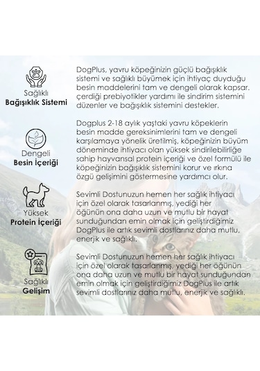 DogPlus Kuzu Etli Pirinçli Yavru Köpek Maması 15 KG