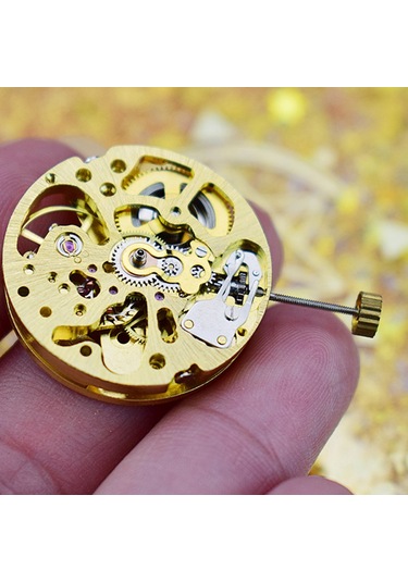 Xurunkeji Altın İskelet 2004 Hareketi Sıradan Sarkaç Ayarı Radyasyon Desenli Tam Otomatik Saat Hareketi Altın