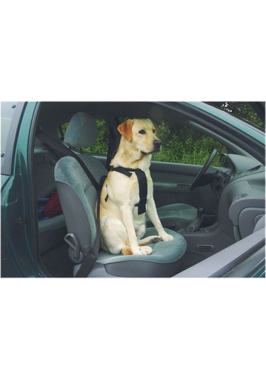 Beeztees Köpek Araç İçi Göğüs Tasması, Siyah, 40-65cm Göğüs Çapı, 15mm Siyah