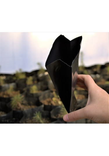 Fidan Poşeti 9X15 cm 60 Adet Körüksüz Fide Poşeti Fide Torbası