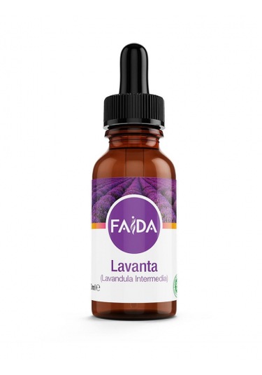 Lavender Lavandula Angustifolia 10 Ml