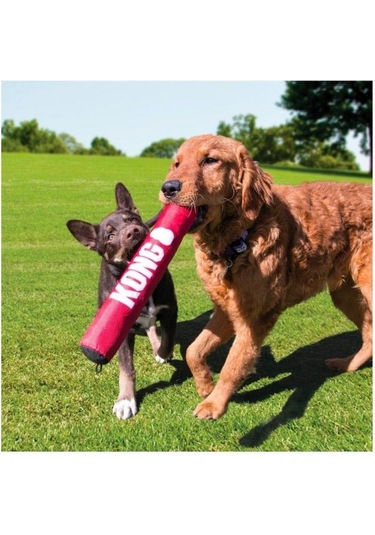 Kong Signature Stick Çubuk Şeklinde Köpek Oyuncağı L