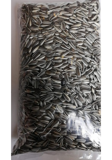 PAPAĞAN PARAKET ALACA ÇEKİRDEK 500 GR