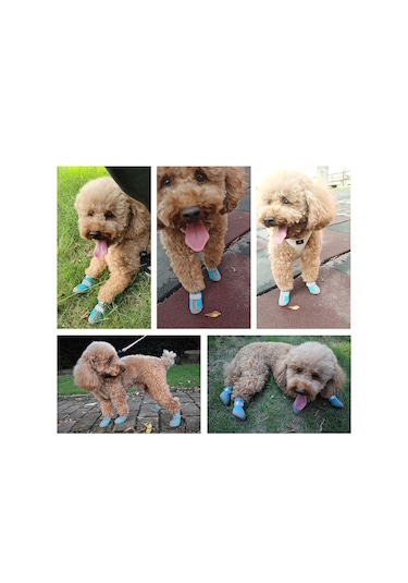 Xindoker Küçük Köpekler İçin Nefes Alabilir Yürüyüş Ayakkabısı, Gece Görünürlüklü Pati Koruyucu, 4'lü Set, Kahverengi