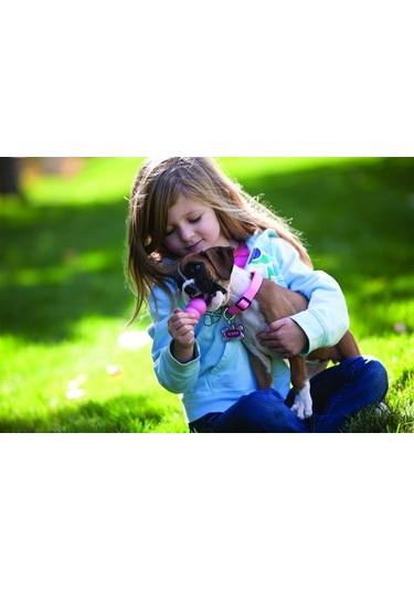 Kong Puppy Küçük Irk Yavru Köpek Isırma Oyuncağı Xs