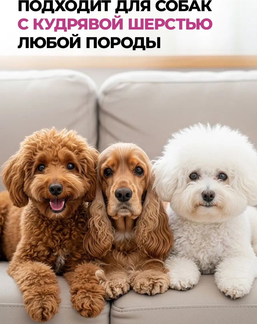 Spets Bugünkü Köpekler İçin Saç Bakım Şampuanı, 500 Ml 453150680