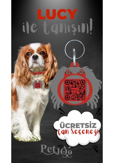 Petjoo 11.Lucy Gri-Kırmızı Qr'lı Köpek Künyesi